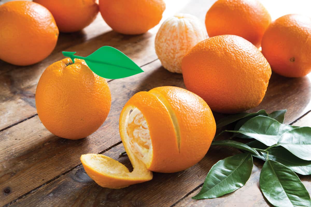 فوائد قشر البرتقال للجسم والوجه